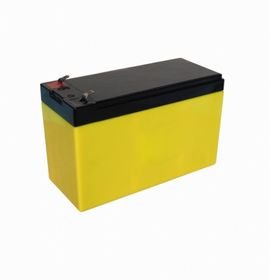 Flooded Lead-Acid (FLA)